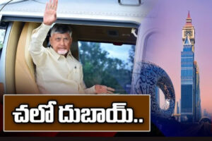 teluguism - cm chandrababu
