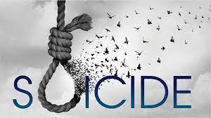 Degree Student Suicide